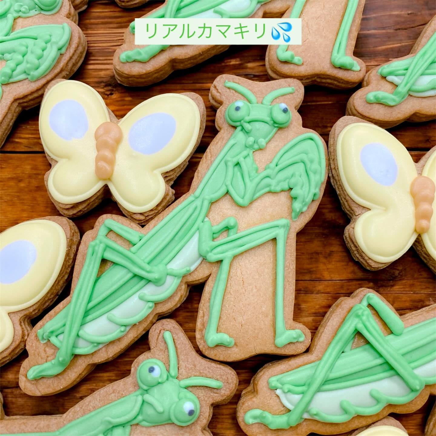 苦手な方はごめんなさいでもこちら、食べられるクッキーです♪そう思うとかわいいでしょ
リアルタイプの昆虫は実はとっても人気なんです🫶
実物に近い大きさだよ笑
