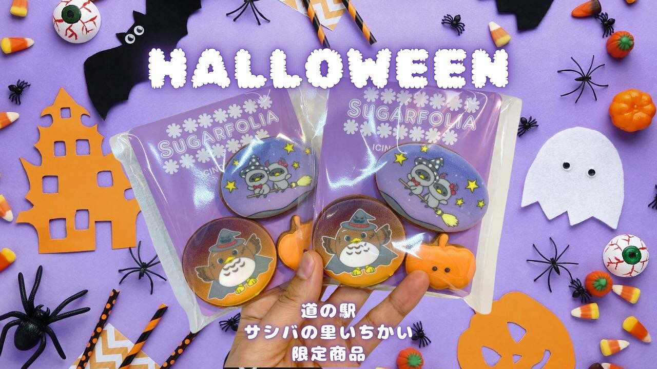 🦉 道の駅サシバの里いちかい限定！ 🦉
ハロウィン限定アイシングクッキー登場

サシバのさっちゃん、
そしてイッちゃん＆カイちゃんが
かわいいハロウィンデザインのプリントクッキーになりました

魔女帽子をかぶった姿や、ほうきに乗ったデザインなど、
見ているだけでほっこりする仕上がりです

数量限定販売となりますので、
お近くにお越しの際はぜひチェックしてください
フードプリンター: @mastermind0918 

販売場所：道の駅 サシバの里いちかい