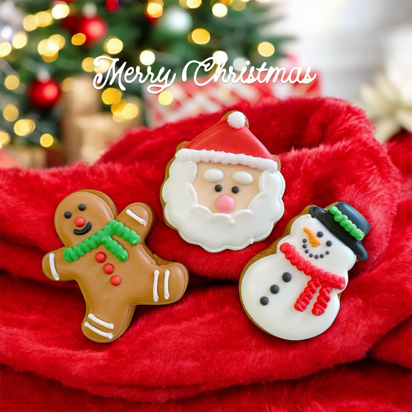 今年のクリスマスも
たくさんのクッキーを作らせていただきました
出会ってくださった皆さまに、心から感謝です。

このクッキーたちが、
皆さまの大切なひとときに寄り添えますように。
どうか、素敵なクリスマスになりますように