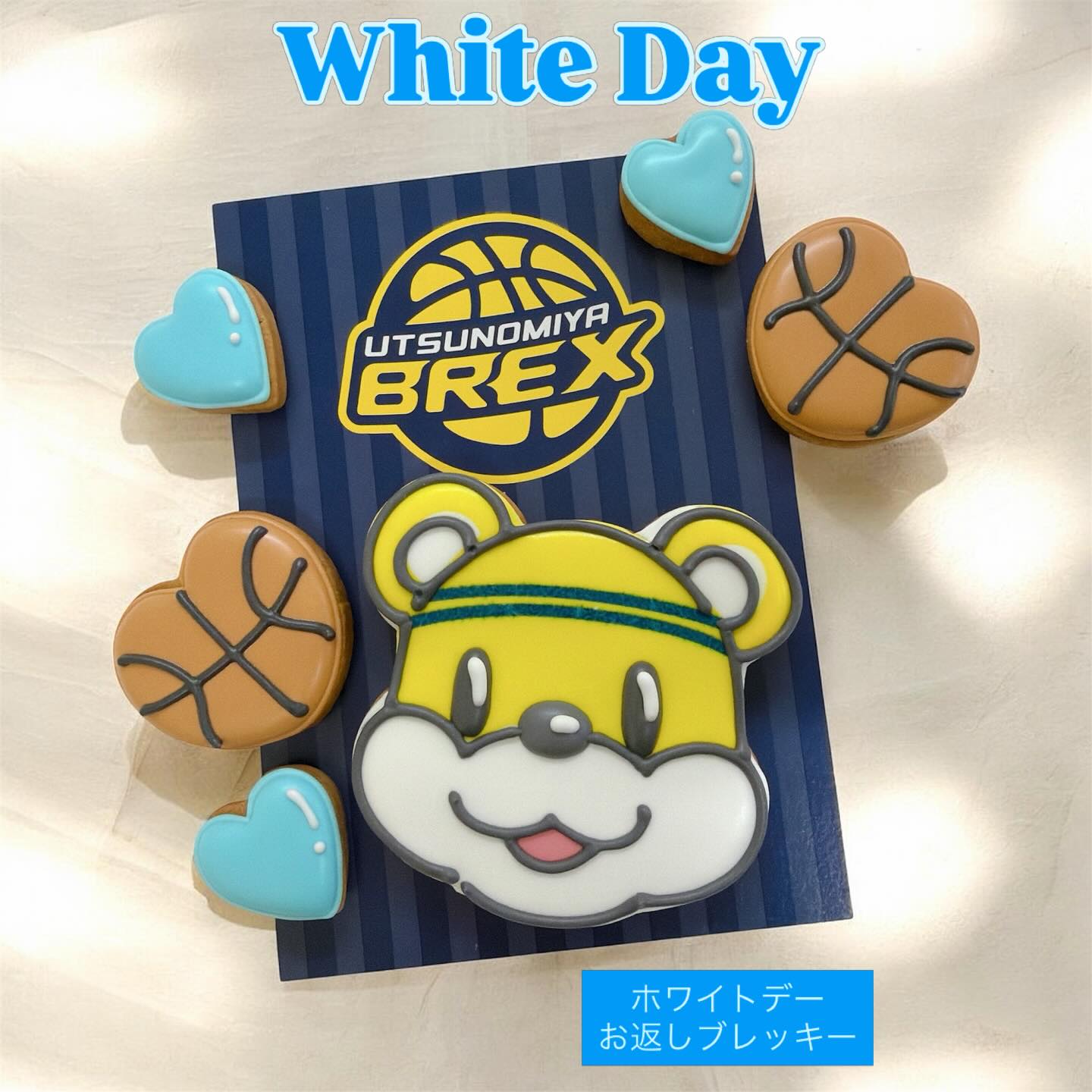 GO BREX！

宇都宮ブレックスをイメージした
ブレッキーの
スペシャルアイシングクッキー

かわいいキャラクターと
バスケットボールデザインで
応援気分もアップ！

ブレックスアリーナにて限定販売！

ファンの方へのギフトにもおすすめです